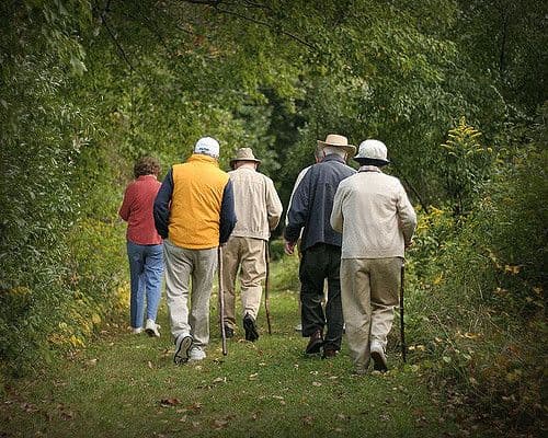 Person living with dementia at home, warm and dignified